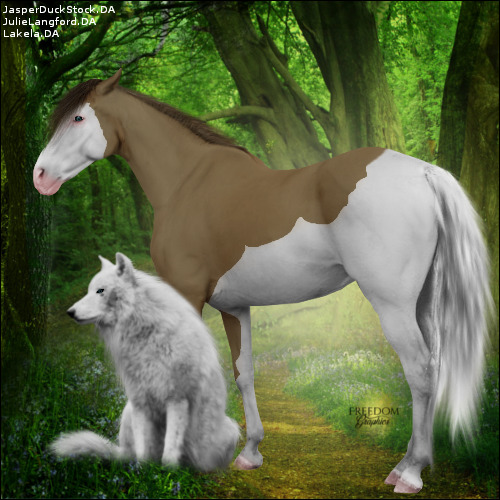 HEE Horse Avatar|Tala