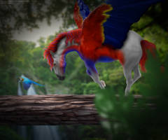 HEE Commission | Macaw Hybrid