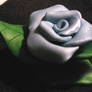 Blue Rose