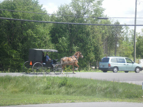 Amish People