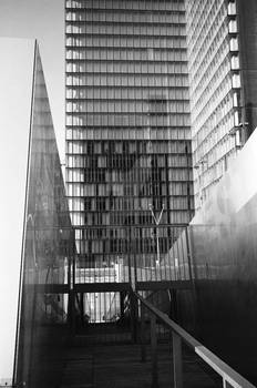 Steel windows and sunlight