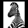 Zebra in Contrast