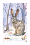 Spring hare by eliramouse