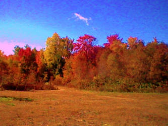 Fall Colors in Northern Michigan - My Back Yard