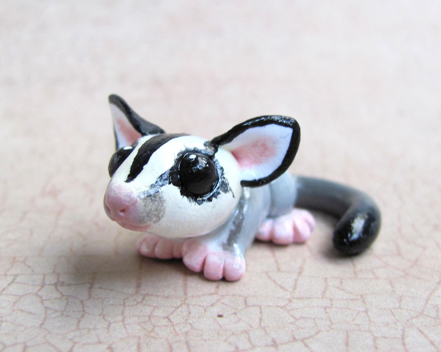 Custom Sugar Glider