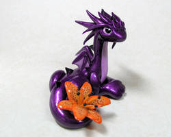 Tiger Lily Dragon