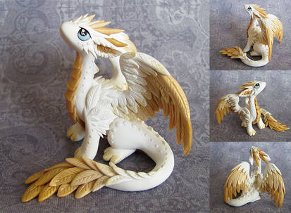 Angel Dragon