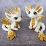 Baby Angel Dragons