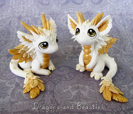 Baby Angel Dragons