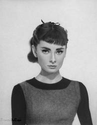 Audrey Hepburn Pencil Drawing