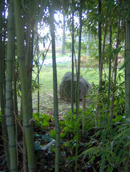 Meditation rock