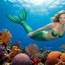 Amy Smart Assessing Healthy Coral Growth for EMA
