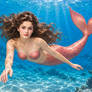 Vintage Mermaid Circa 1880