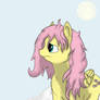 Fluttershy