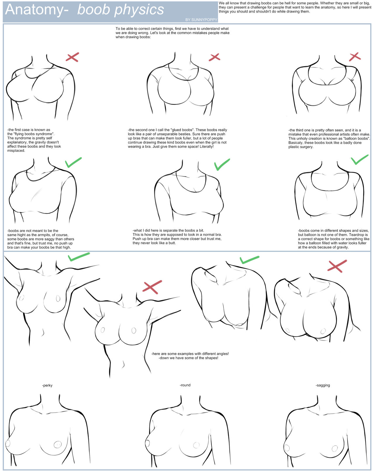 Boob anatomy for big tits Anatomy Boob Physics By Sunnypoppy On Deviantart