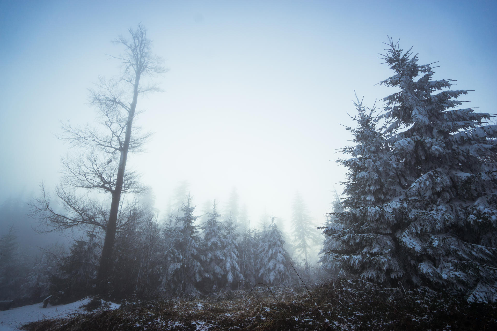 Fading