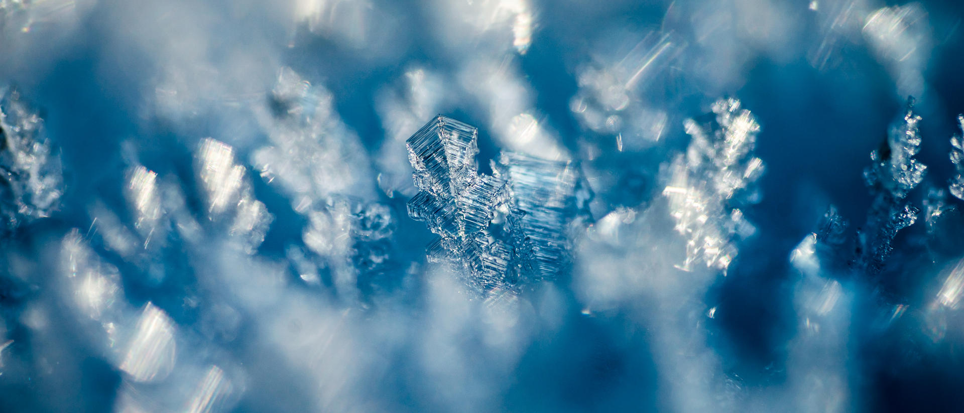 invisible - snow up close by hannes-flo on DeviantArt