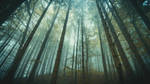 Lost Without by hannes-flo