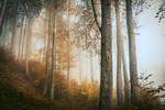 aldrig mer by hannes-flo