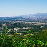 Pacific Coast Highway 26 - Santa Ynez Valley