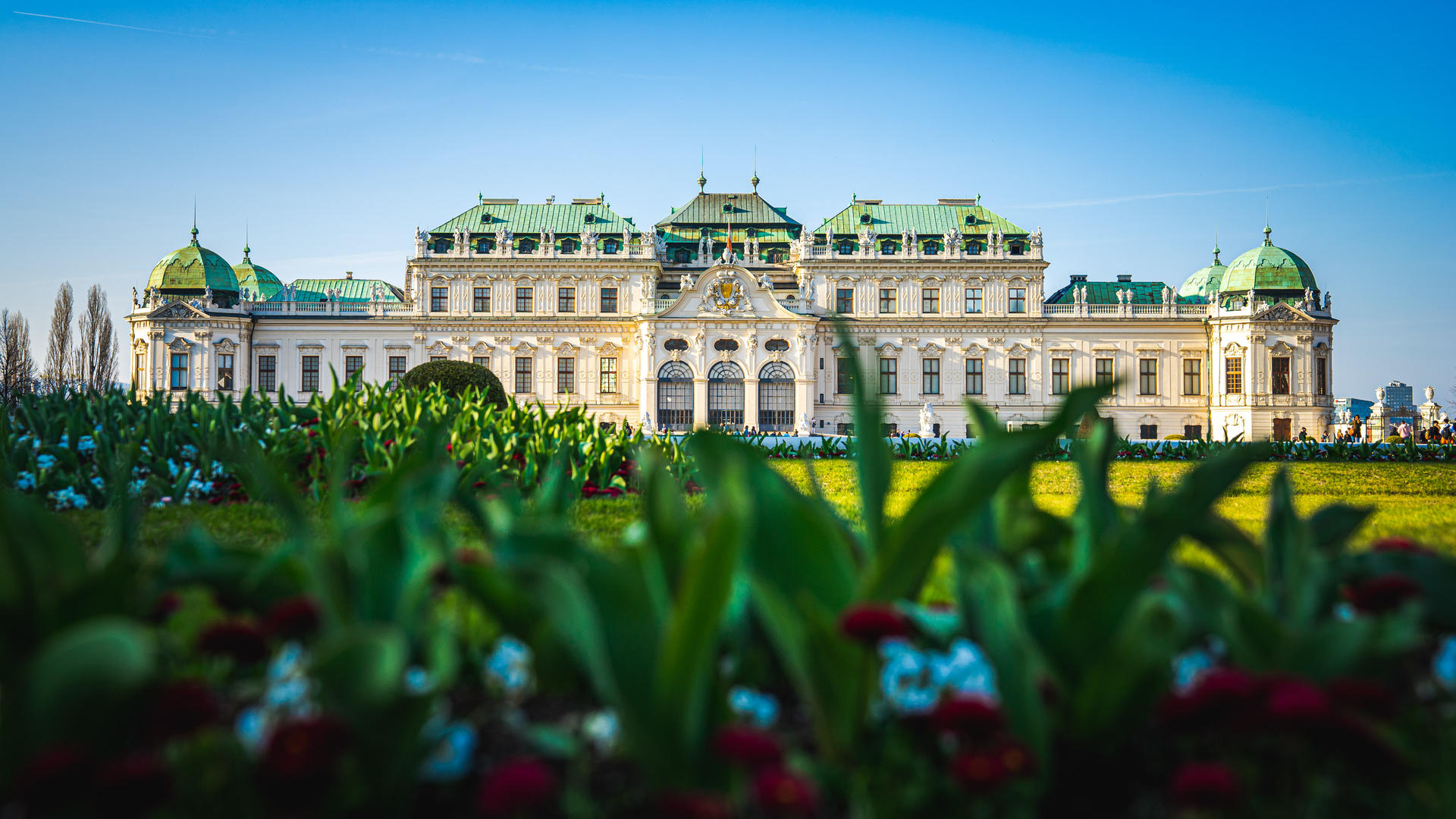 belvedere iii