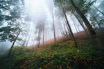 sanctuary ii by hannes-flo