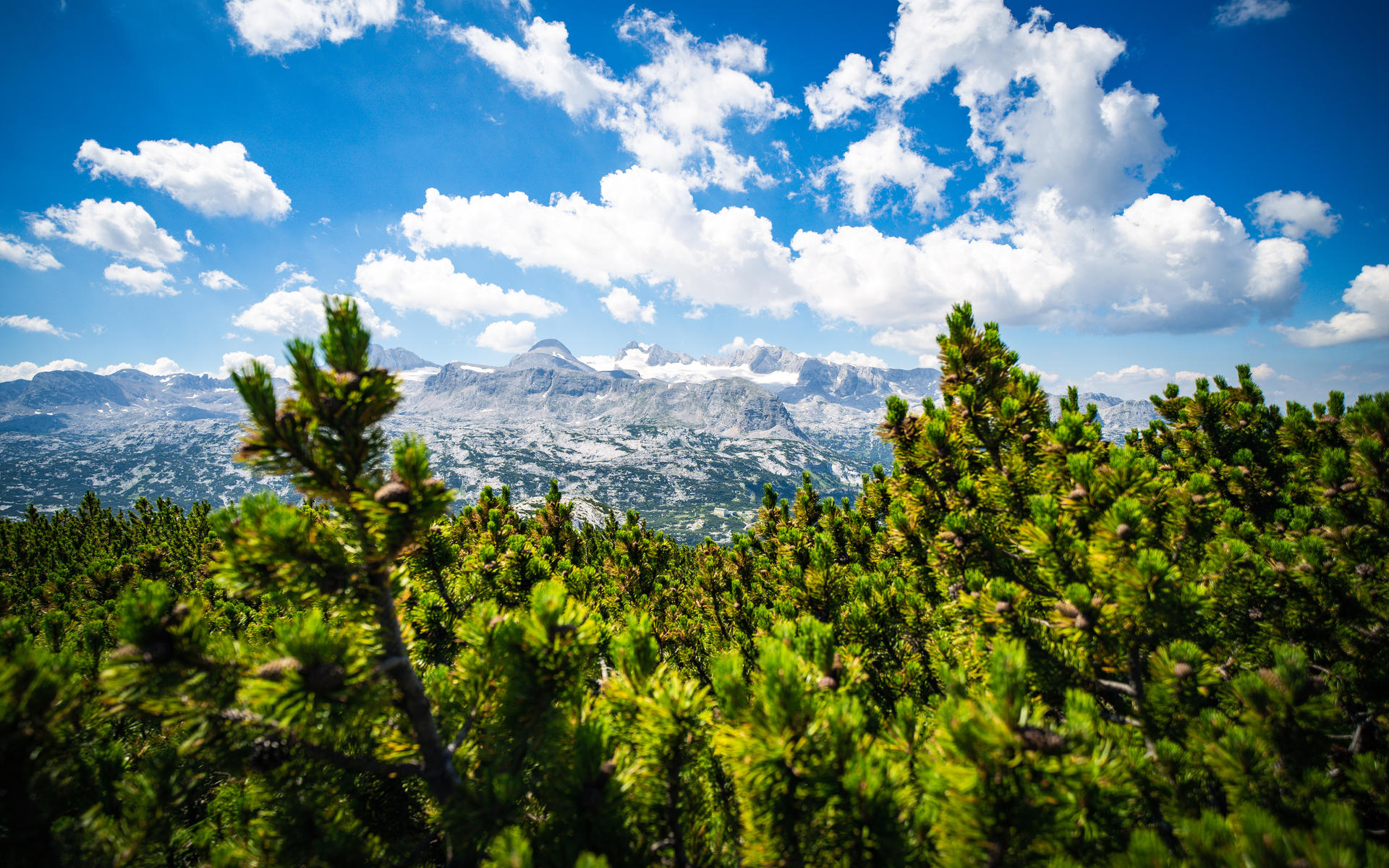 wouldn't change a thing