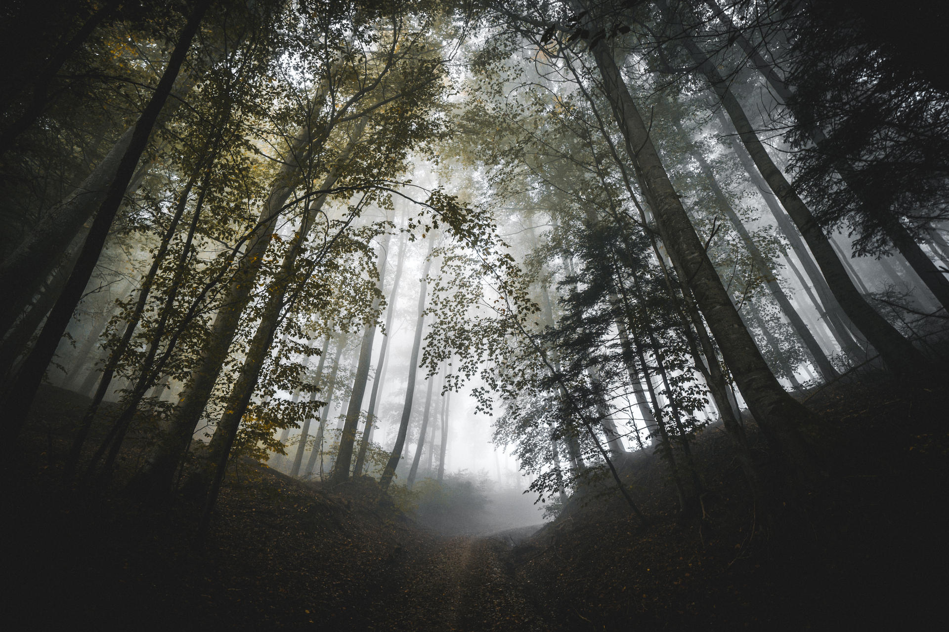 sleepwalking by hannes-flo on DeviantArt