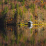 seasons