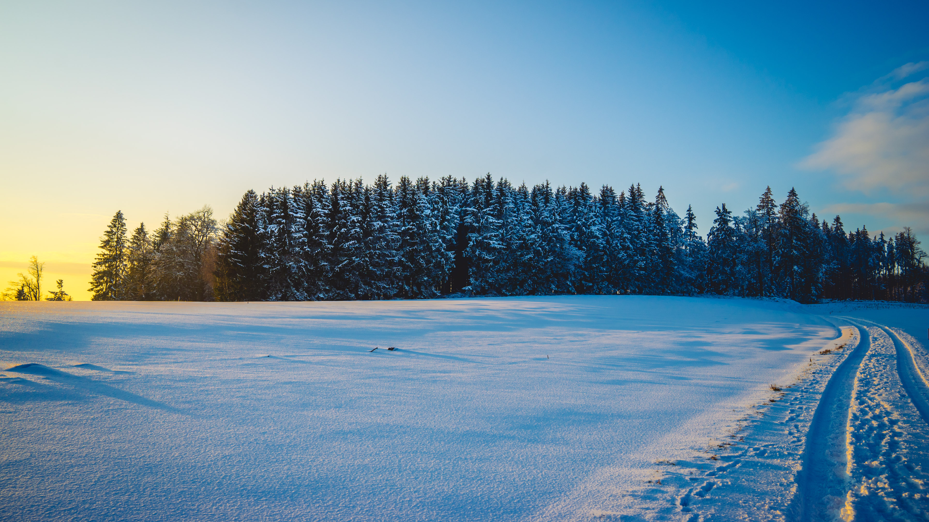 emotion sickness iii