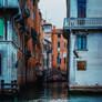 venice 7
