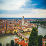 verona 6