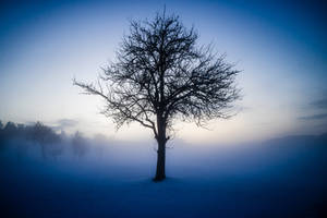 silent stranger v4