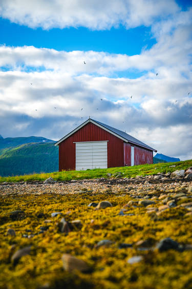 botnhamn 6