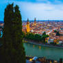verona 19