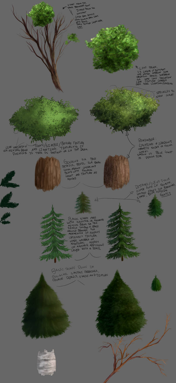 Tree Study Drawing tree study by carvedraven on DeviantArt