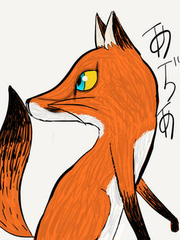 Fox 6