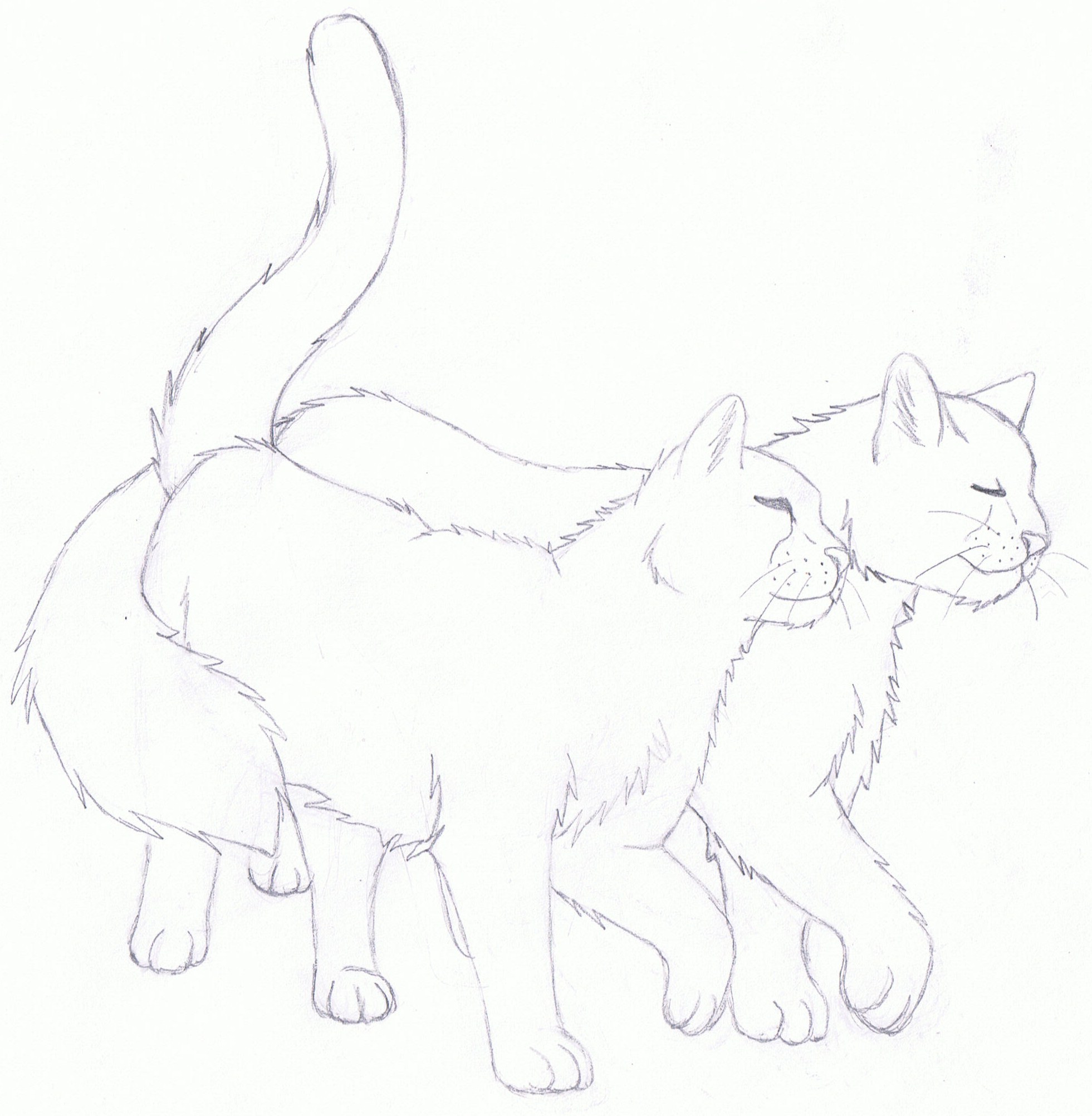 Bluestripe and Wolfstar