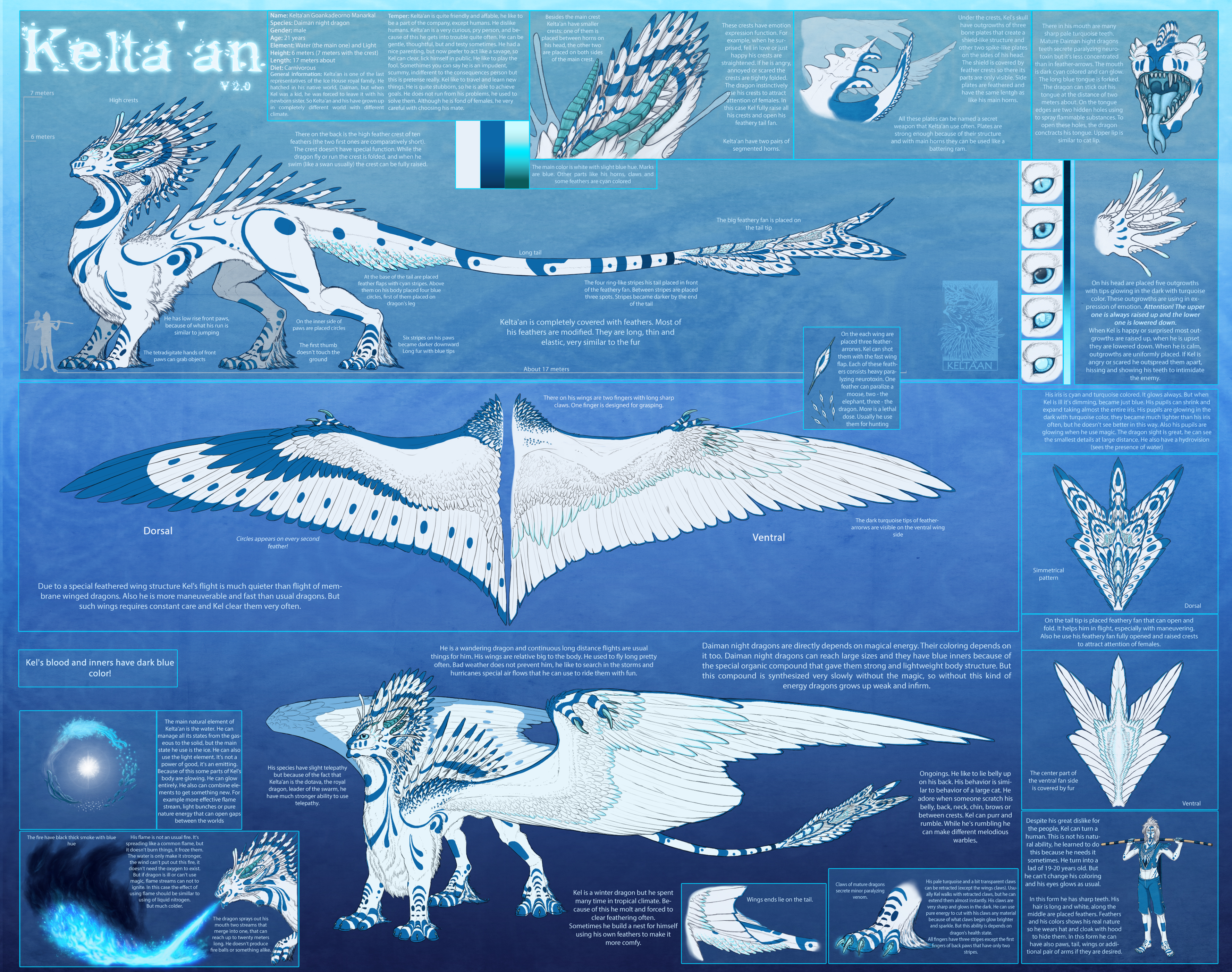 Kelta'an Reference Sheet V2.0 (ENG)