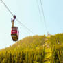 Whistler's Ascent