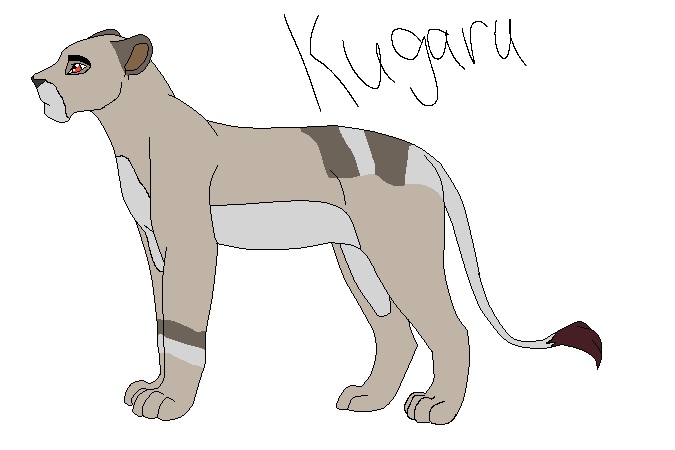 New lion oc- Kugaru