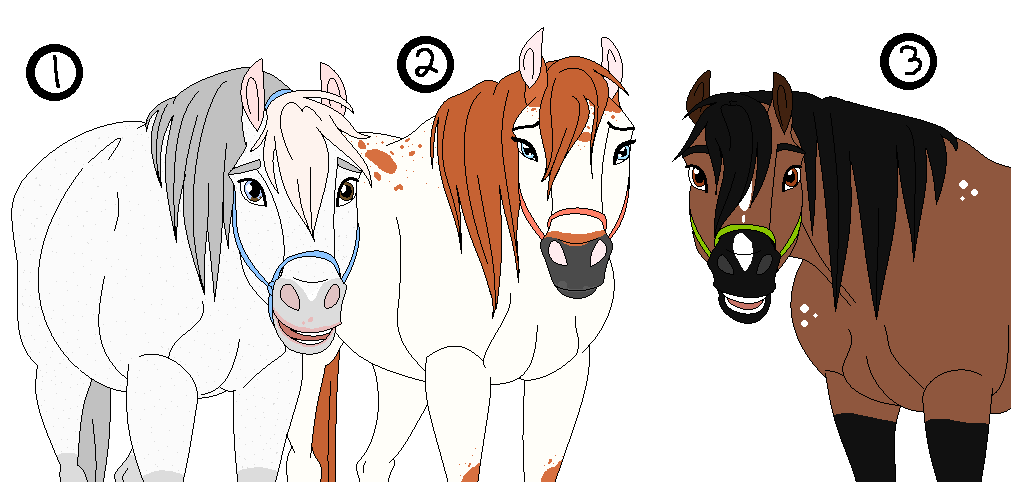 Purebred Horse adopts-CLOSED