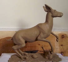 Mule deer clay