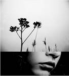 _without by S6ltuvus
