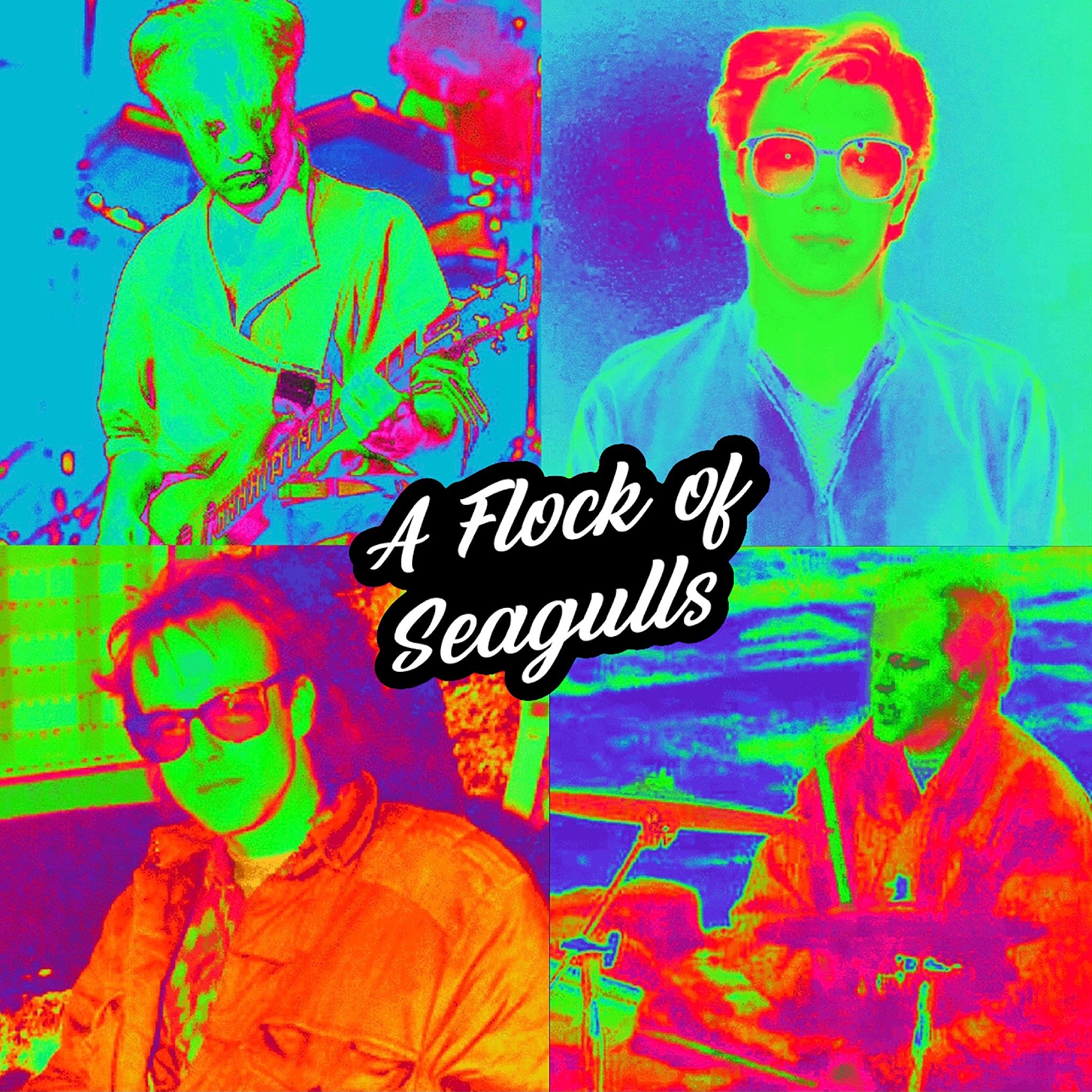 Flock If Seagulls Hair A Flock Of Seagulls by AFlockOfSeagullsfan on DeviantArt