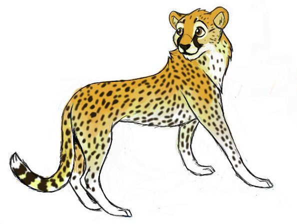 Sketcher Cheetah