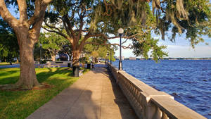 Memorial Park, Jax, FL