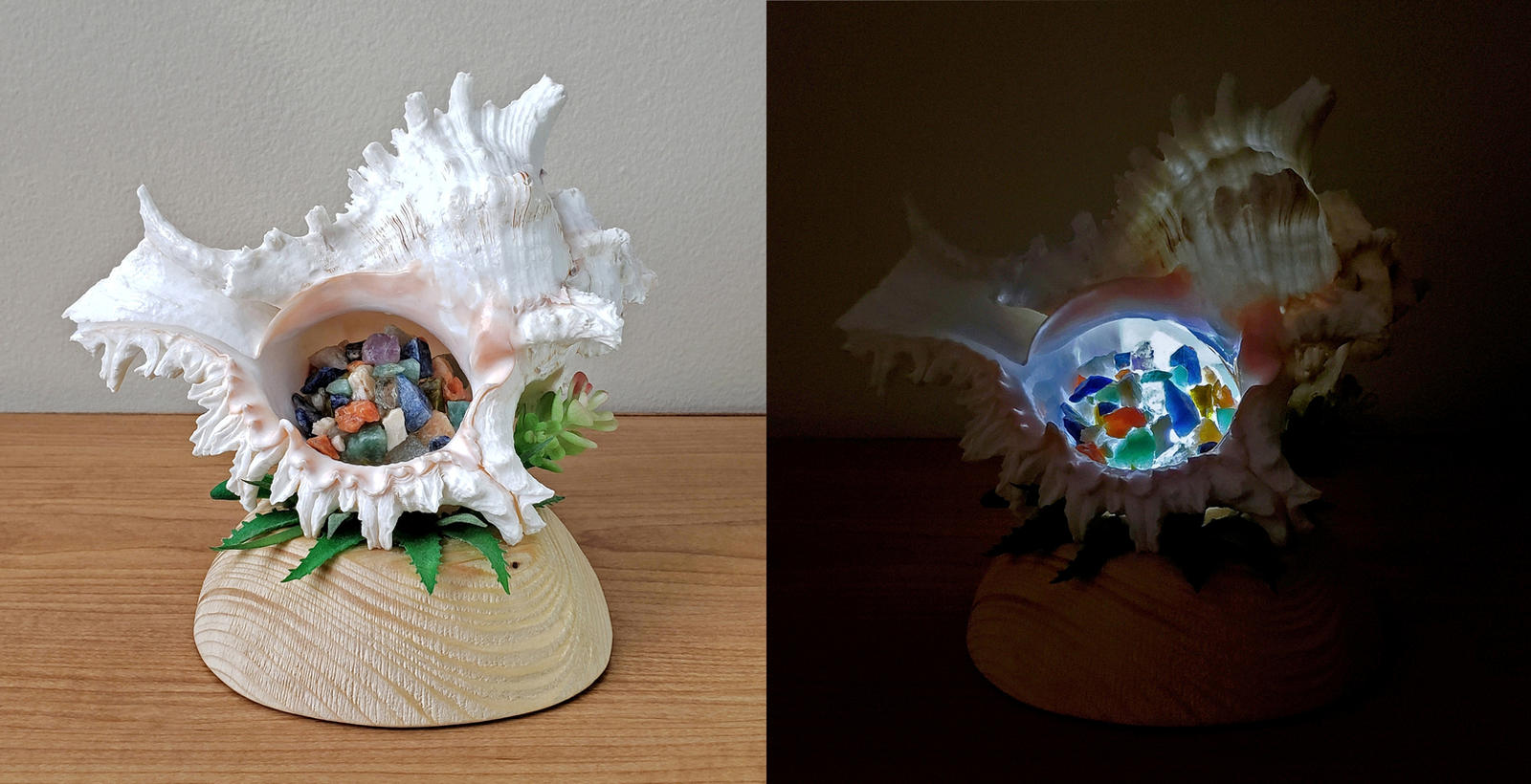 Night light Shell by dkart71 on DeviantArt