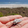 Leopard Moth