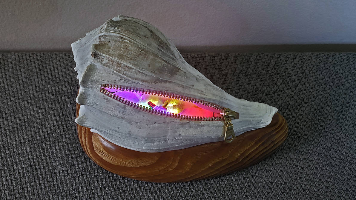 Light Shell Thing Night Light Shell 2 by dkart71 on DeviantArt